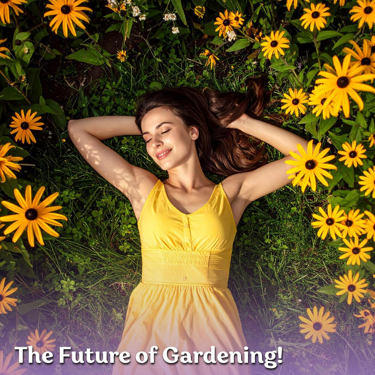 10,000 Black Eyed Susan Heirloom Flower Seeds for Planting, Rudbeckia Hirta