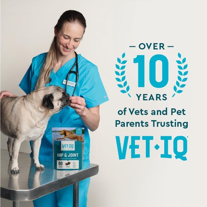 VetIQ Glucosamine Hip & Joint Chews for Dogs, MSM & Krill, 60 count