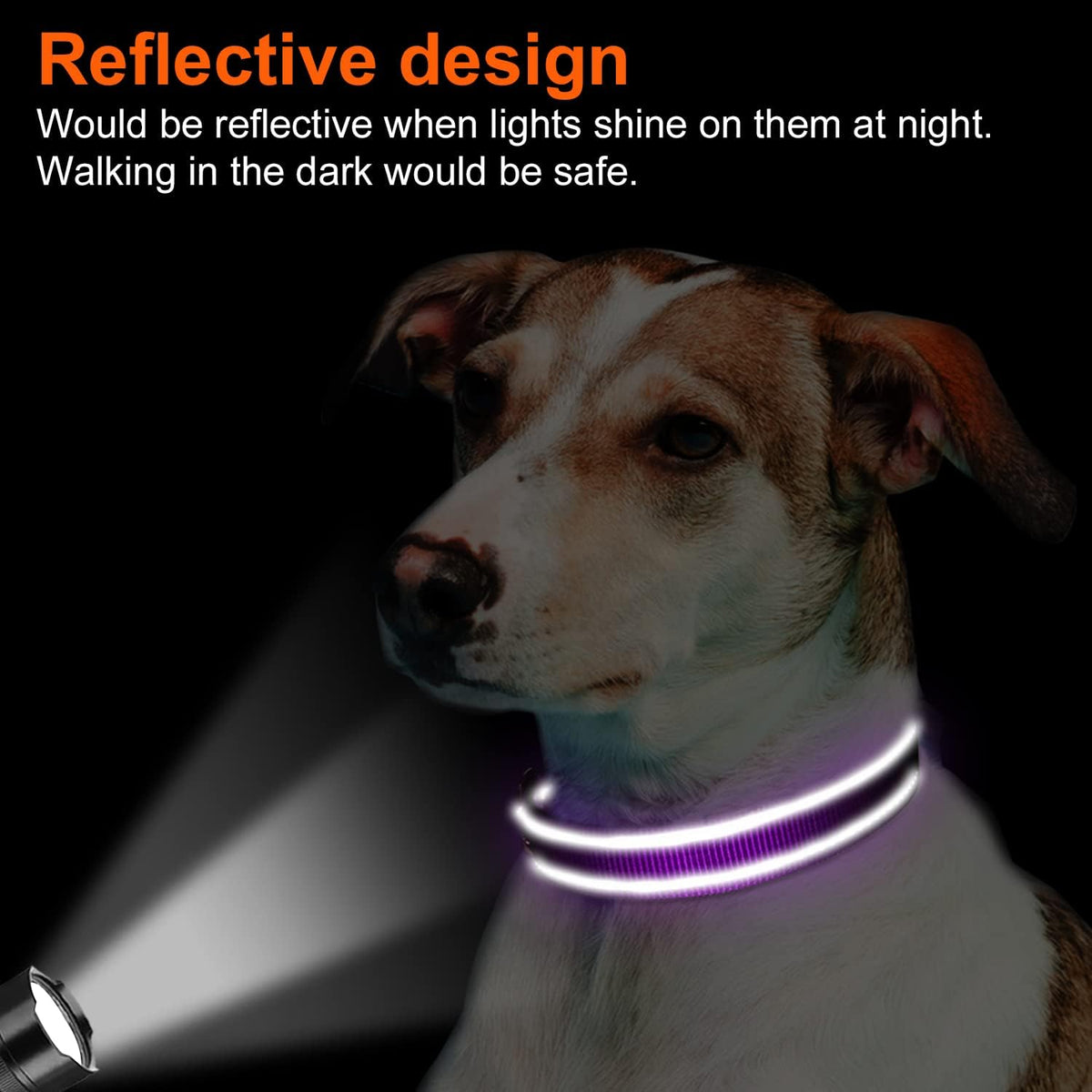 Joytale Reflective Dog Collar, Adjustable Neoprene Padded, Teal M