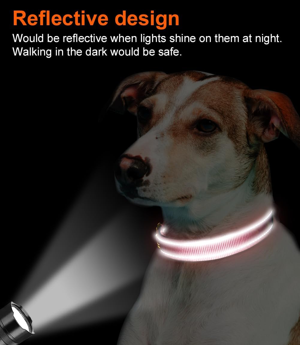 Joytale Reflective Dog Collar, Adjustable Neoprene Padded, Teal M