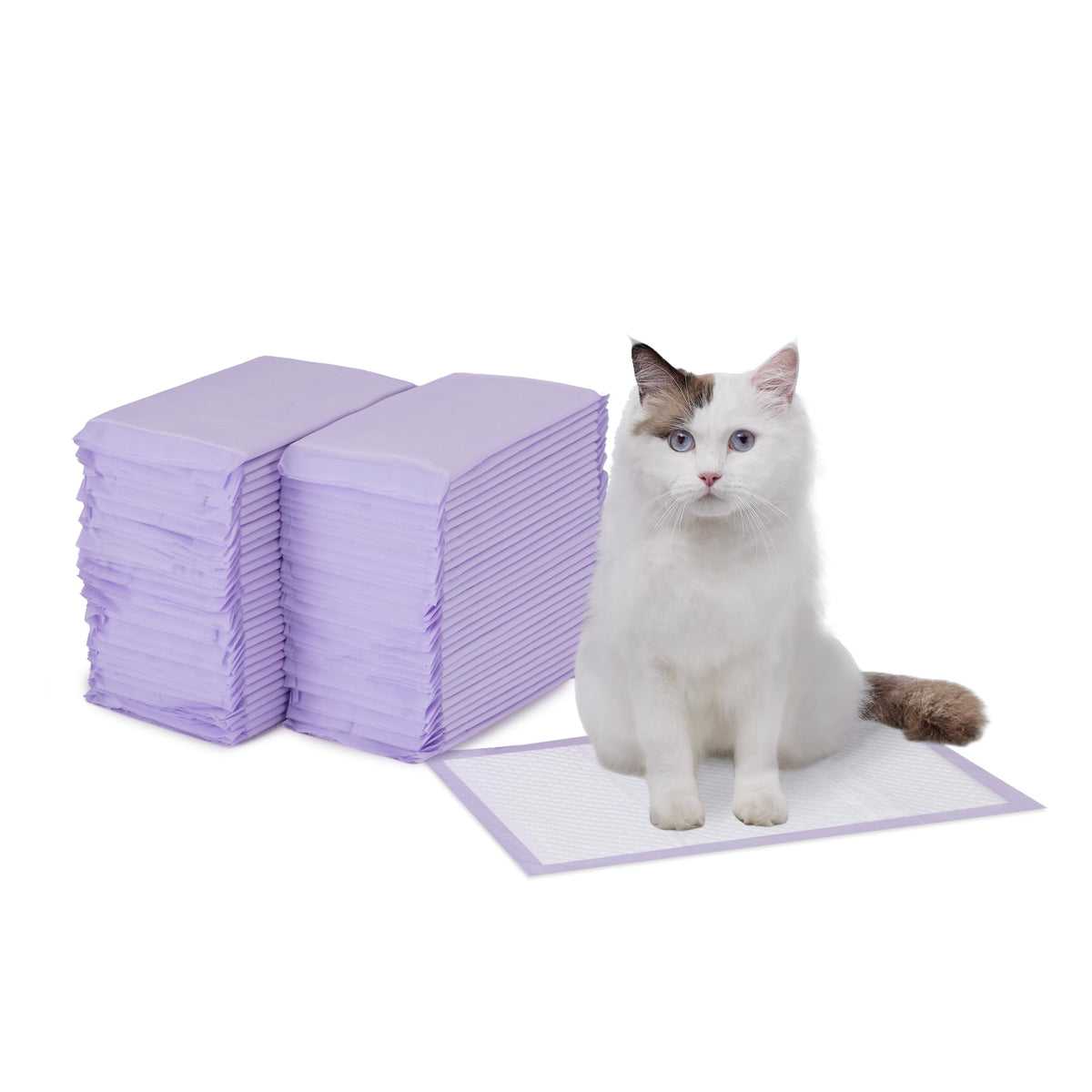 Amazon Basics Cat Litter Pee Pads, Odor Control with Fresh Scent, Super Absorbent, Disposable, Universal Fit Litter Box, Purple and White, 40 Count