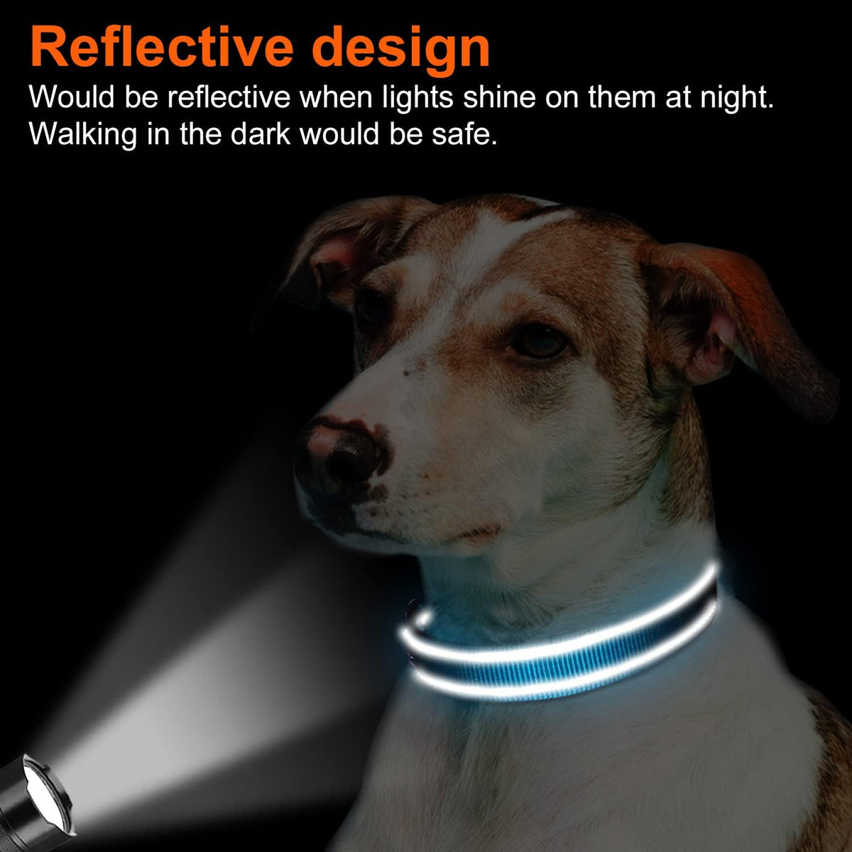 Joytale Reflective Dog Collar, Adjustable Neoprene Padded, Teal M