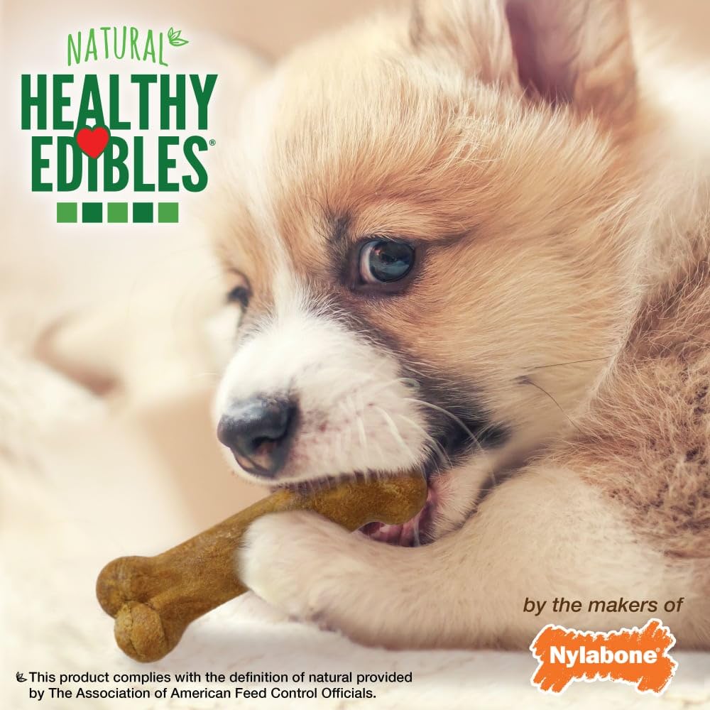 Nylabone Healthy Edibles Puppy Dog Treats Variety Pack, 3 Count