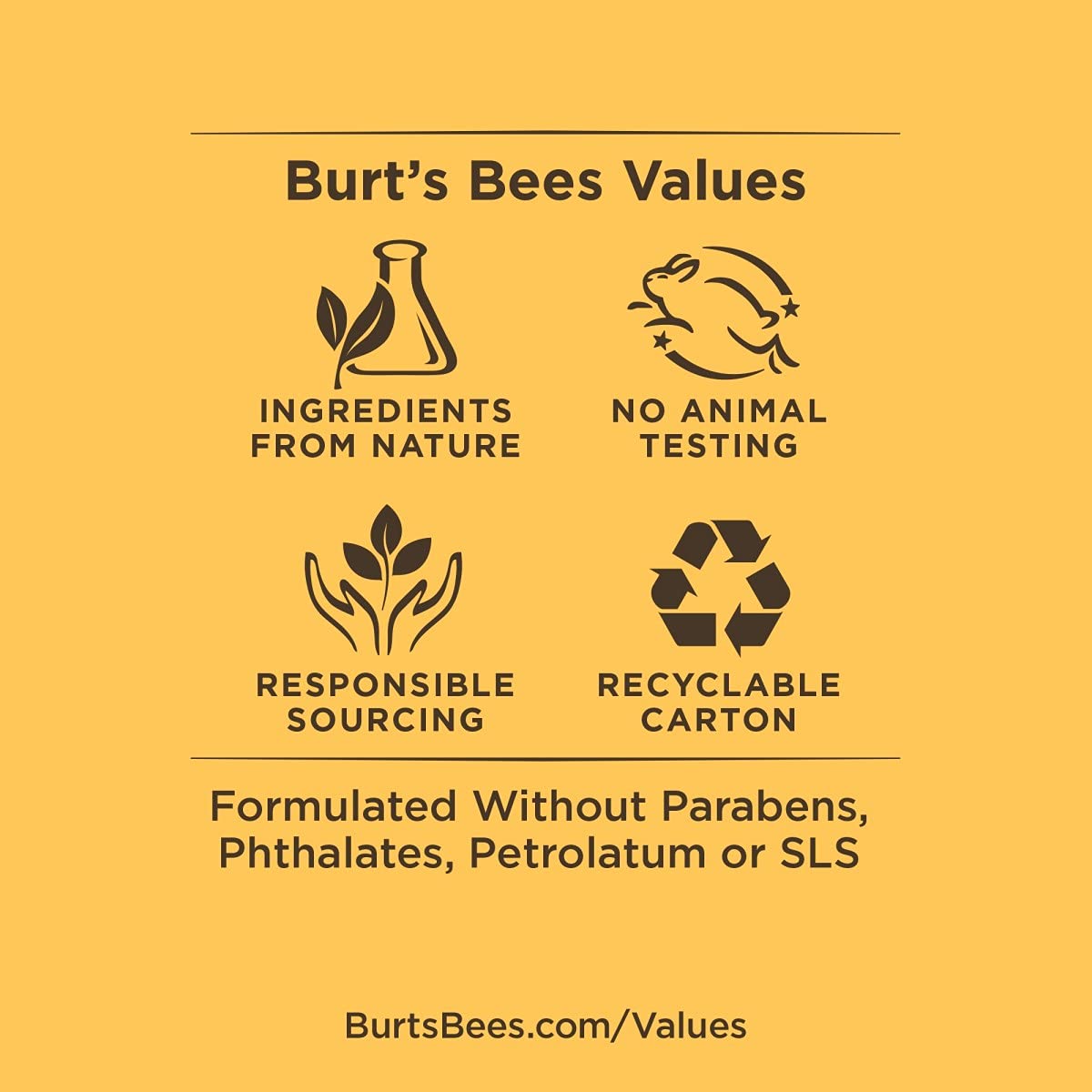 Burt's Bees Lip Balm, Vanilla Bean, 0.15 oz., 2 Tubes