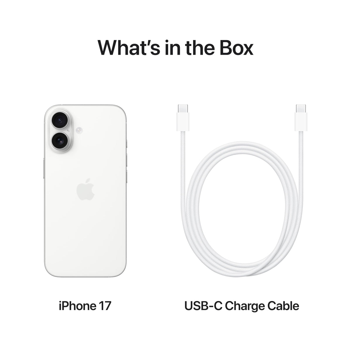 Apple iPhone 17 256 GB: 6.3-inch Display with ProMotion, A19 Chip, Center Stage Front Camera for Smarter Group Selfies, Improved Scratch Resistance, All-Day Battery Life; Sage