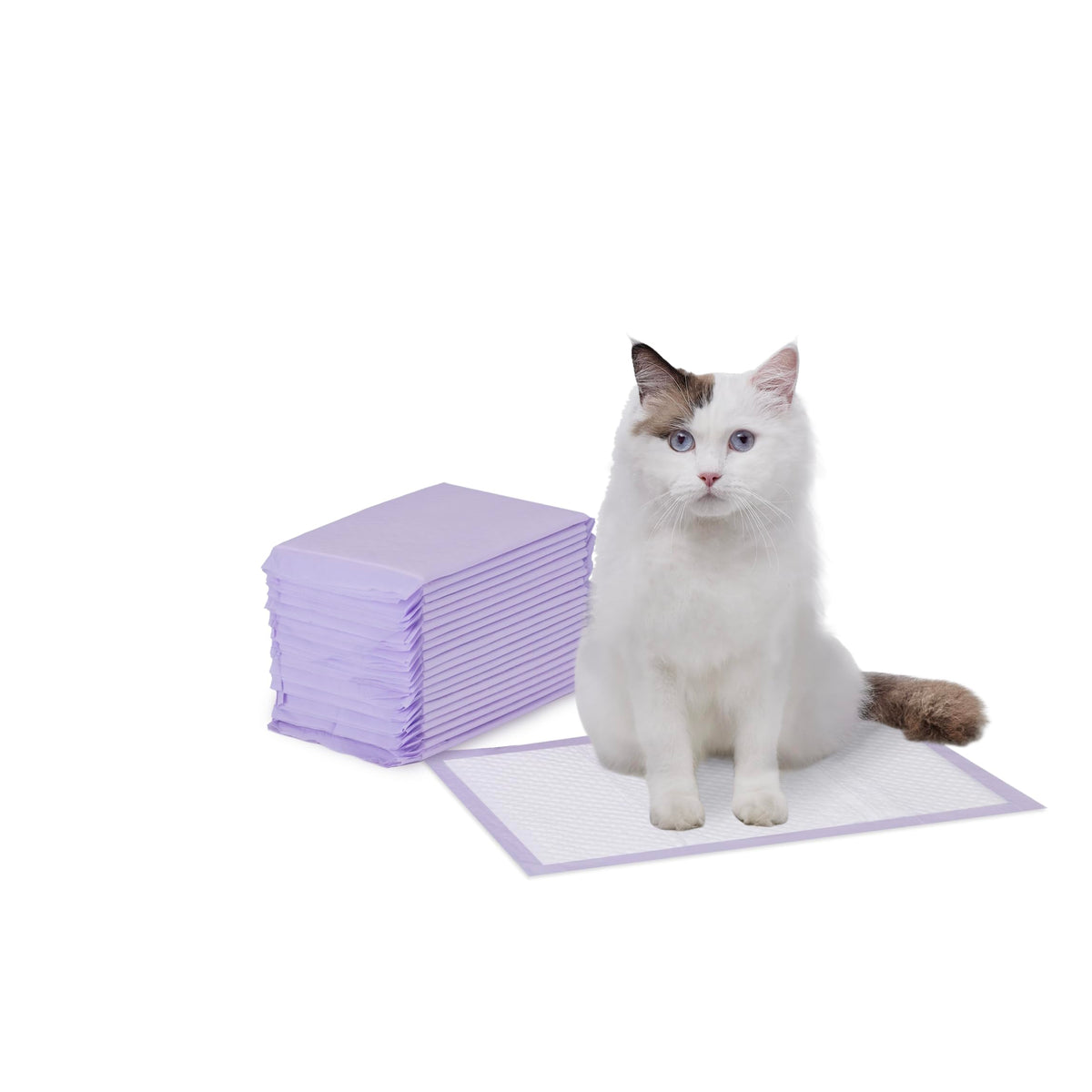 Amazon Basics Cat Litter Pee Pads, Odor Control with Fresh Scent, Super Absorbent, Disposable, Universal Fit Litter Box, Purple and White, 40 Count
