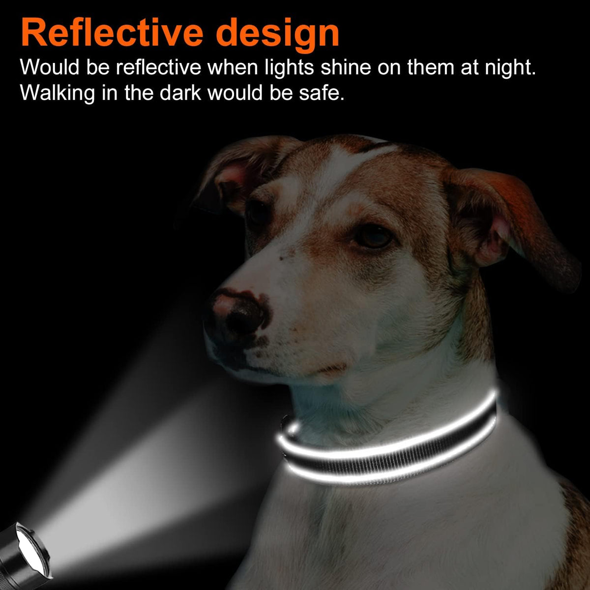 Joytale Reflective Dog Collar, Adjustable Neoprene Padded, Teal M
