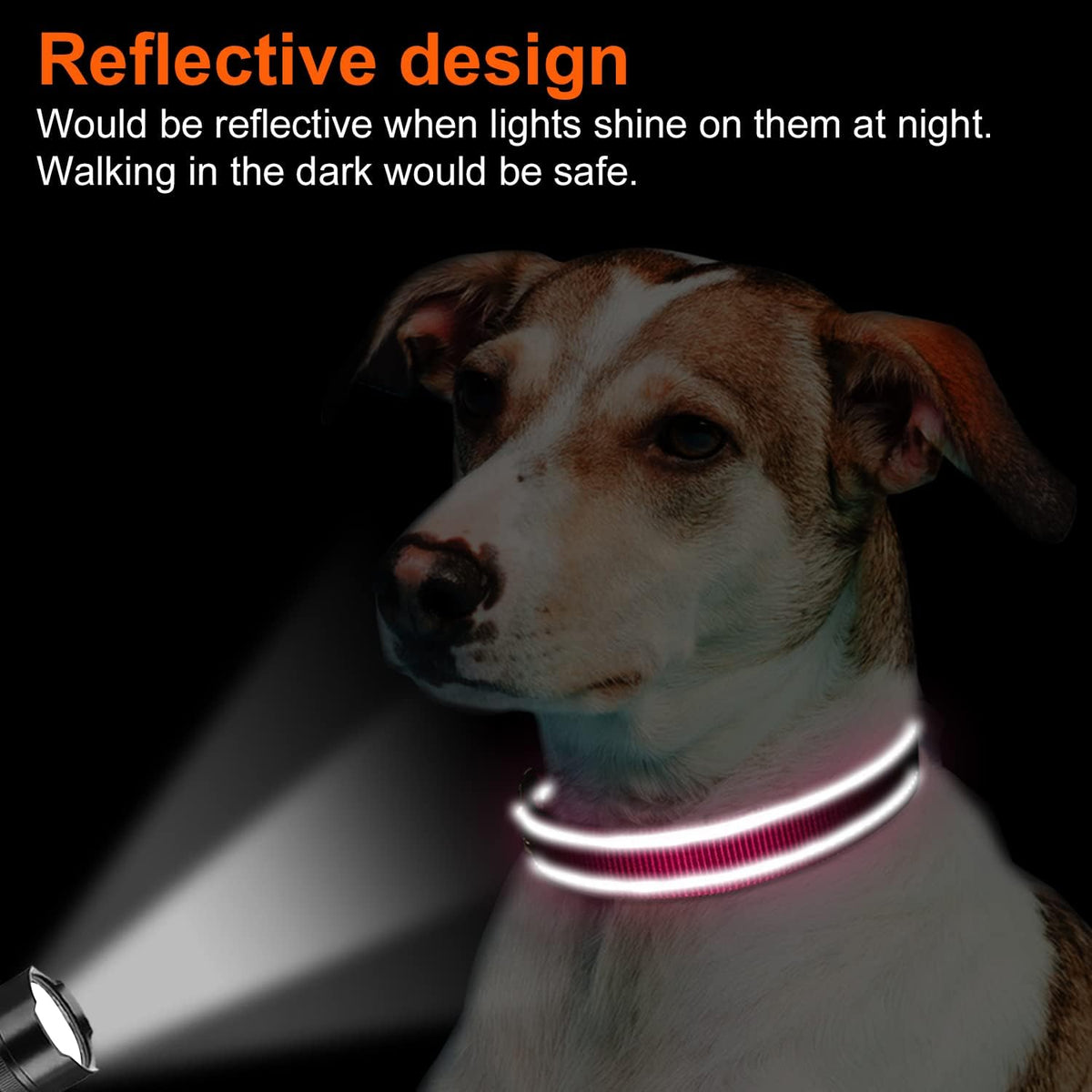 Joytale Reflective Dog Collar, Adjustable Neoprene Padded, Teal M