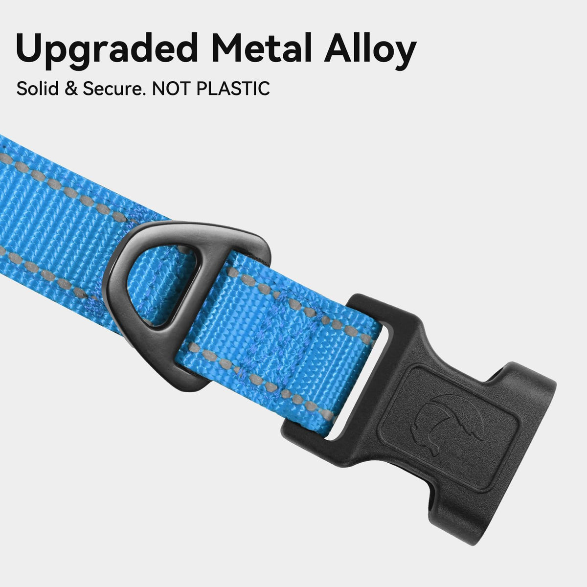 Joytale Reflective Dog Collar, Adjustable Neoprene Padded, Teal M