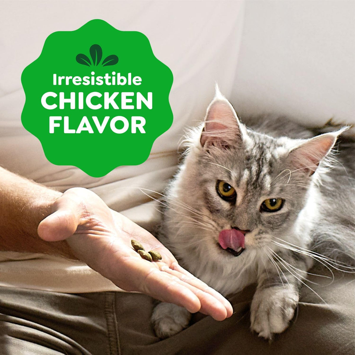 Greenies Feline Smartbites Healthy Indoor Cat Treats, Chicken, 4.6 oz