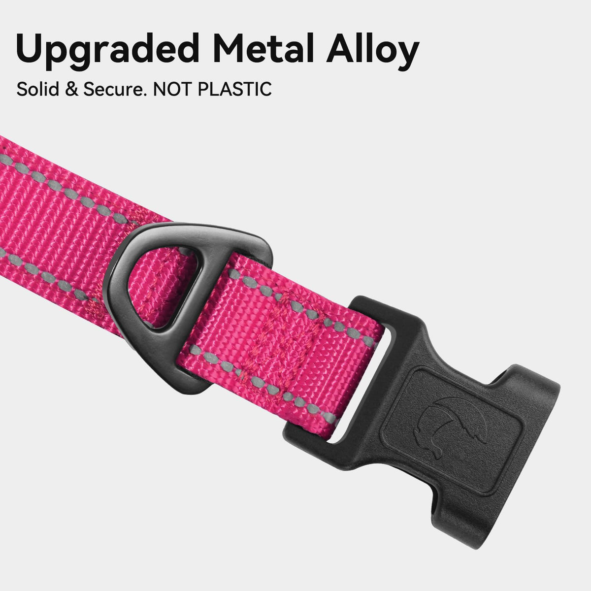 Joytale Reflective Dog Collar, Adjustable Neoprene Padded, Teal M