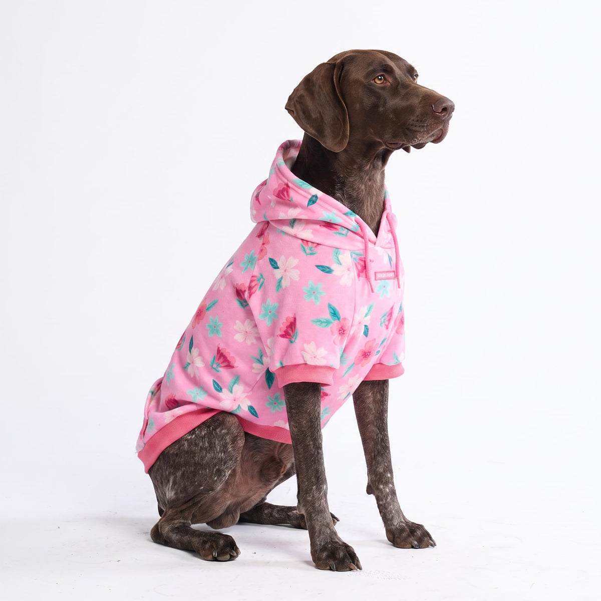 Spark Paws Dog Hoodie - Dog Sweater Sweatshirt Clothes for Large Dogs Puppy