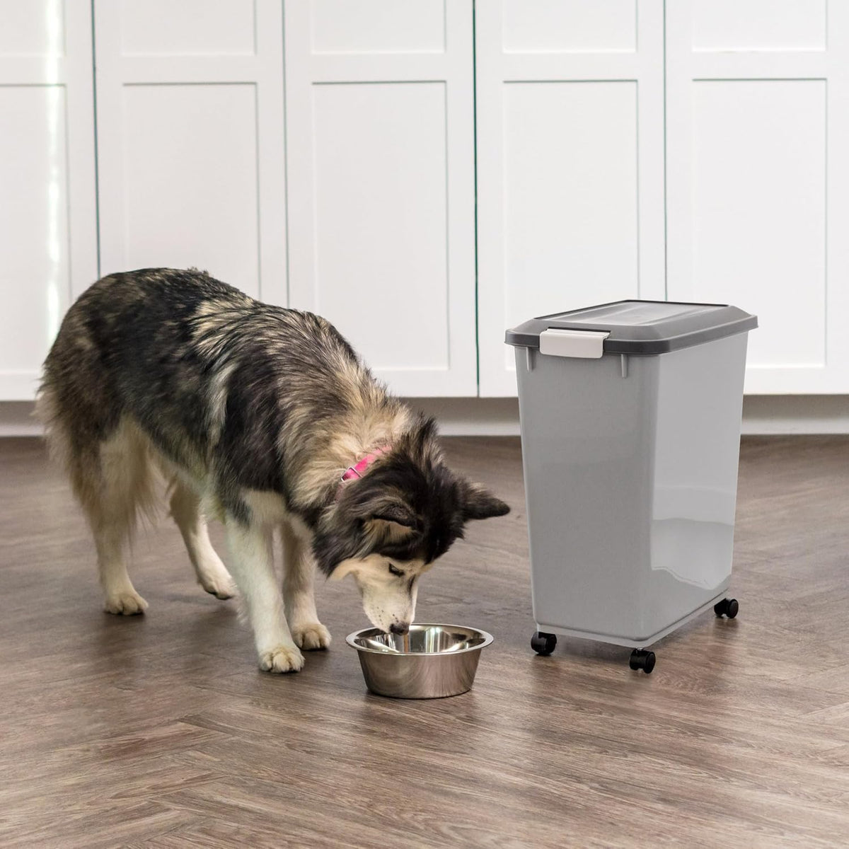 IRIS USA Dog Food Storage Container, Airtight, 30 lb Capacity, Wheels