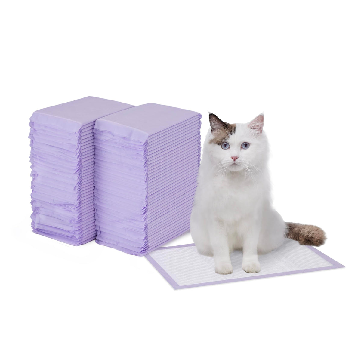 Amazon Basics Cat Litter Pee Pads, Odor Control with Fresh Scent, Super Absorbent, Disposable, Universal Fit Litter Box, Purple and White, 40 Count