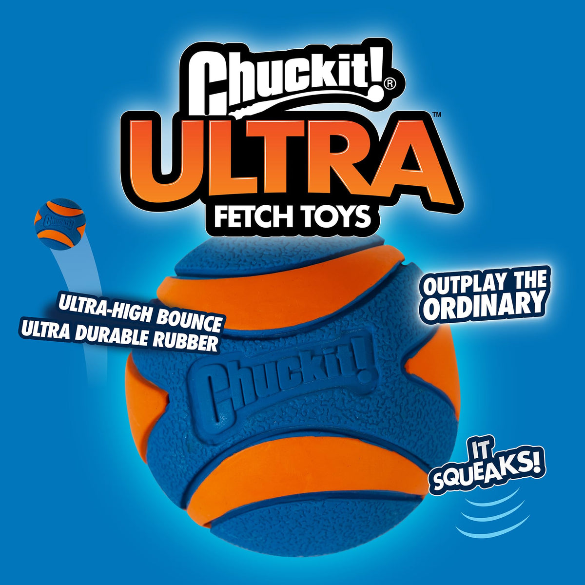 Chuckit! Ultra Squeaker Balls for Dogs, Floating Water Pet Toys, Durable Rubber Pet Toy, Bouncy Squeaky Fetch Balls for Dogs, Medium (2.5") 2 Count (Pack of 12)