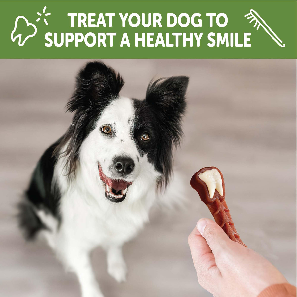 Whimzees Wellness Brushzees Natural Dog Dental Treat, VOHC Accepted Chews, Freshens Breath, Extra-Small Size, 12.7 oz Bag, 48 Count