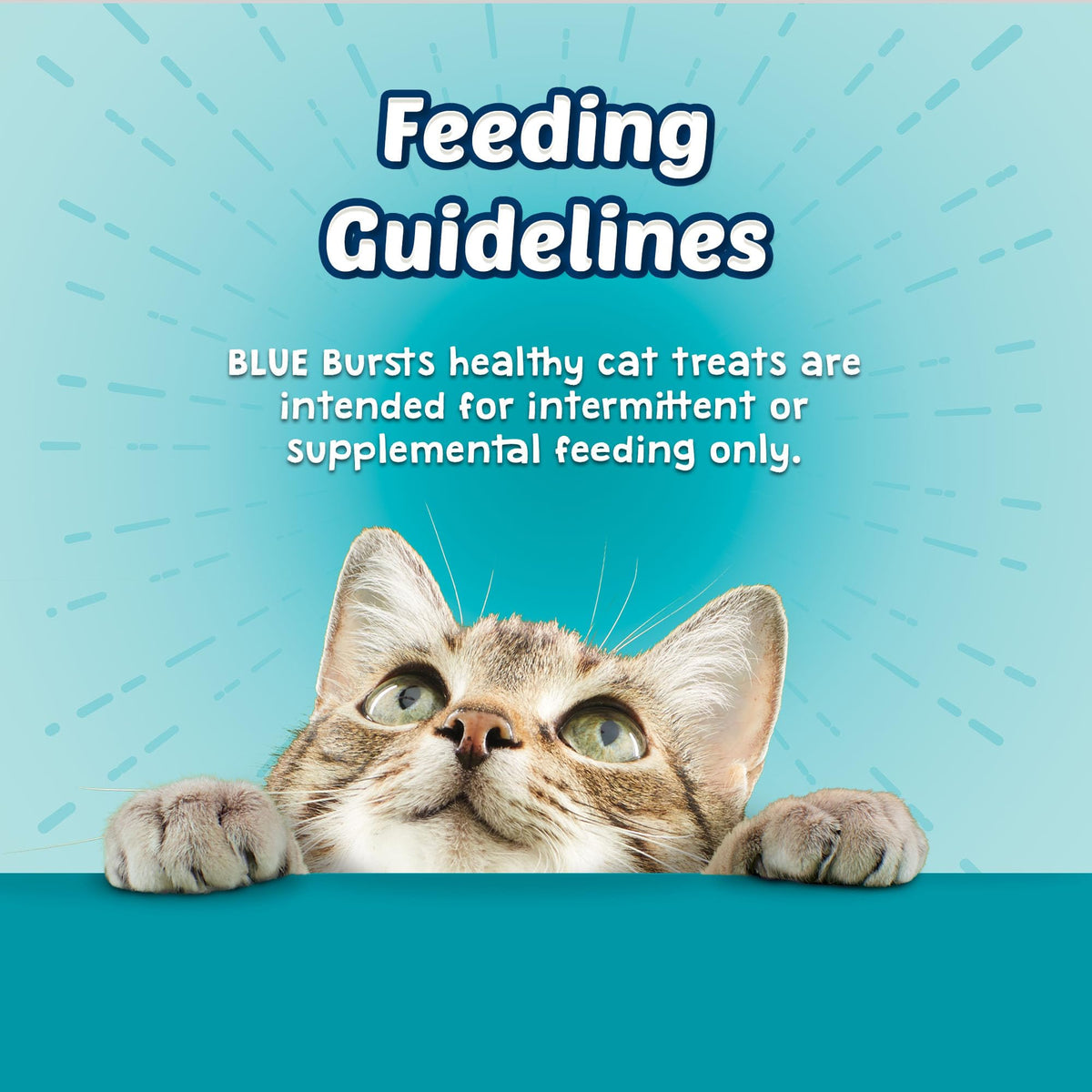 Blue Buffalo Bursts Seafood Crunchy & Creamy Cat Treats, 2 oz, 6 ct