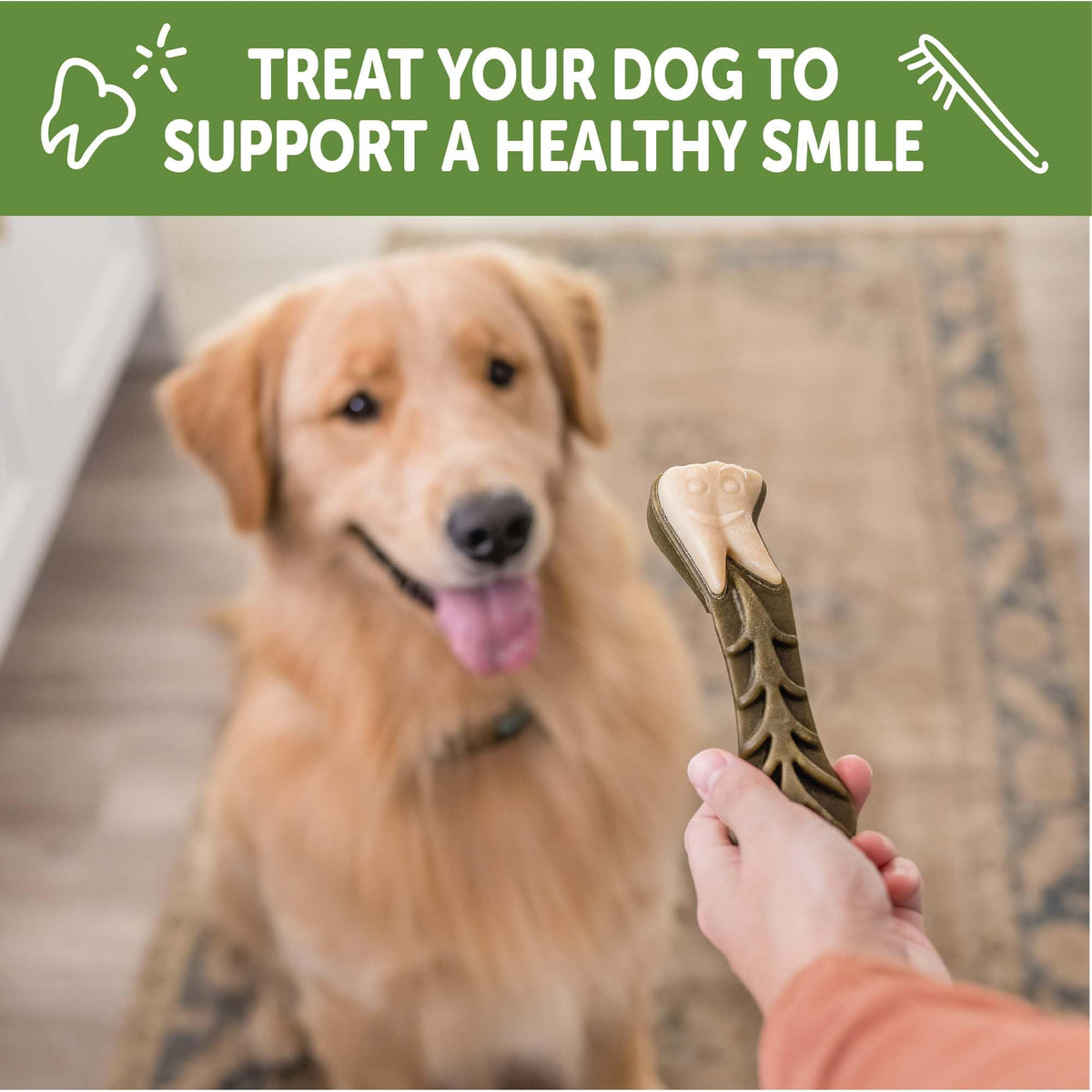Whimzees Wellness Brushzees Natural Dog Dental Treat, VOHC Accepted Chews, Freshens Breath, Extra-Small Size, 12.7 oz Bag, 48 Count