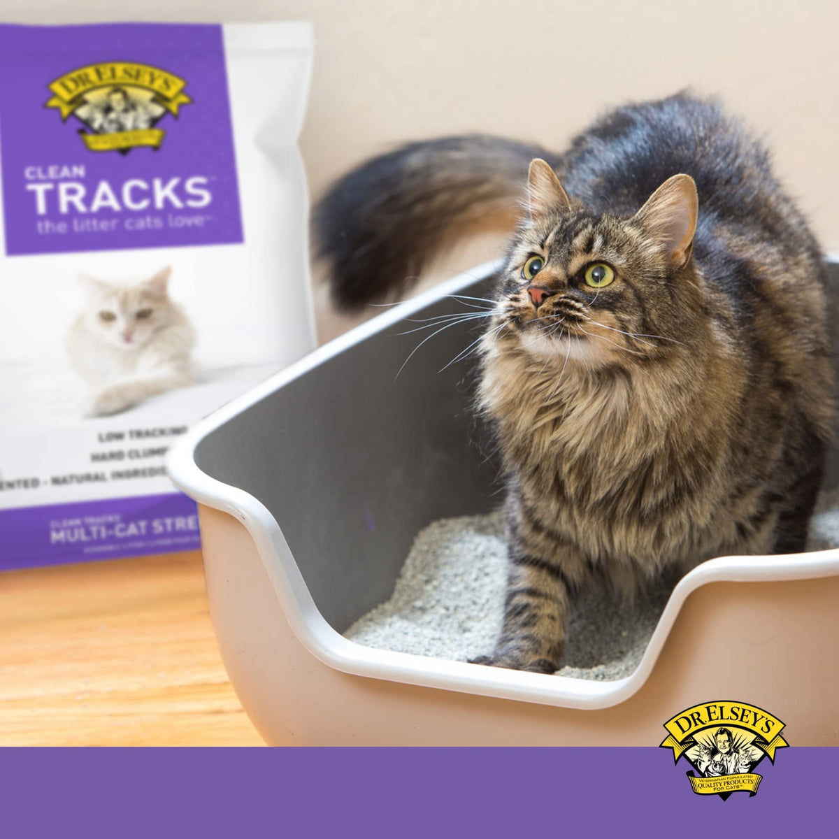 Dr. Elsey's Clean Tracks Clumping Clay Cat Litter 18 lb. Bag