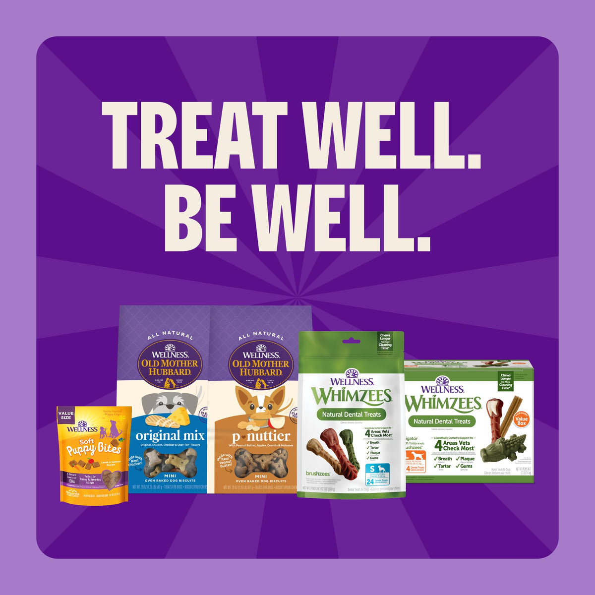 Whimzees Wellness Brushzees Natural Dog Dental Treat, VOHC Accepted Chews, Freshens Breath, Extra-Small Size, 12.7 oz Bag, 48 Count