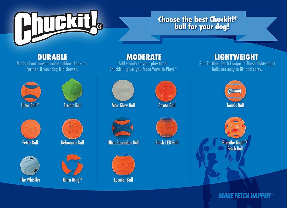 Chuckit! Ultra Squeaker Balls for Dogs, Floating Water Pet Toys, Durable Rubber Pet Toy, Bouncy Squeaky Fetch Balls for Dogs, Medium (2.5") 2 Count (Pack of 12)