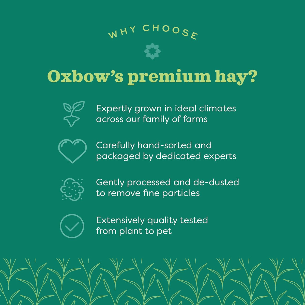 Oxbow Western Timothy Hay, Rabbit & Guinea Pig Hay, High Fiber, USA, 90 oz