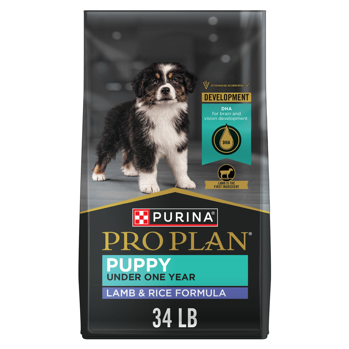 Purina Pro Plan High Protein, Healthy Puppy Food, Lamb & Rice, 6 lb Bag