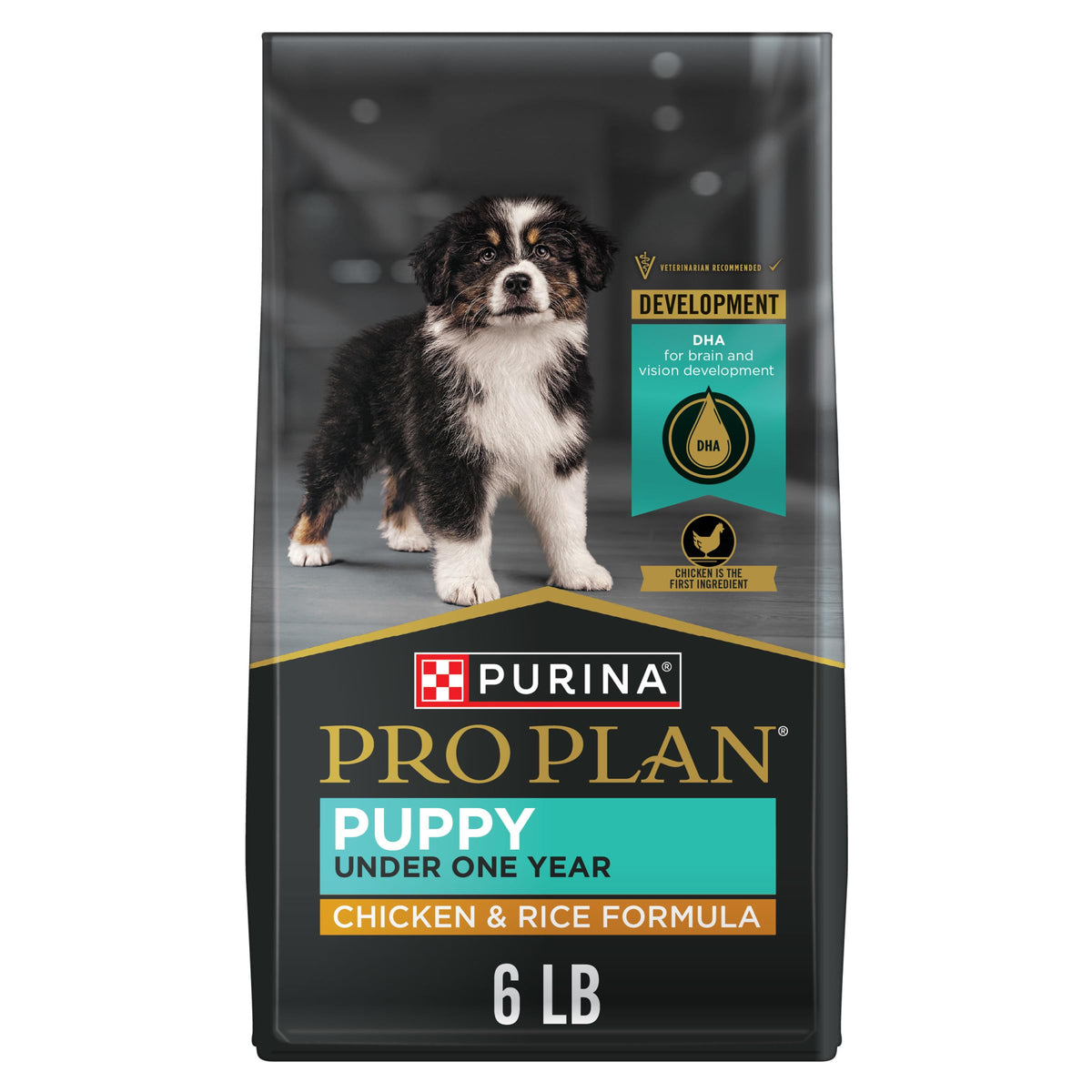 Purina Pro Plan High Protein, Healthy Puppy Food, Lamb & Rice, 6 lb Bag