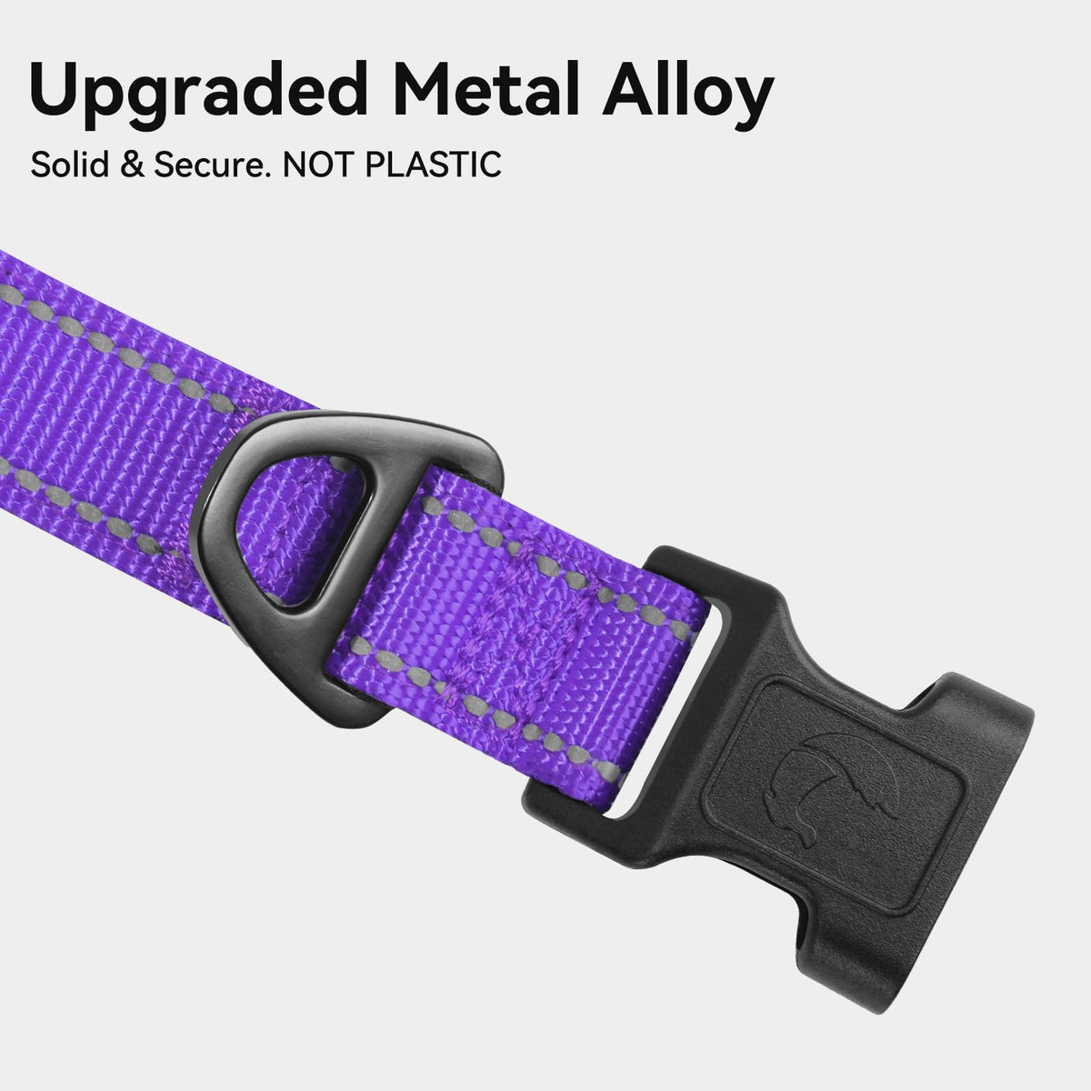 Joytale Reflective Dog Collar, Adjustable Neoprene Padded, Teal M