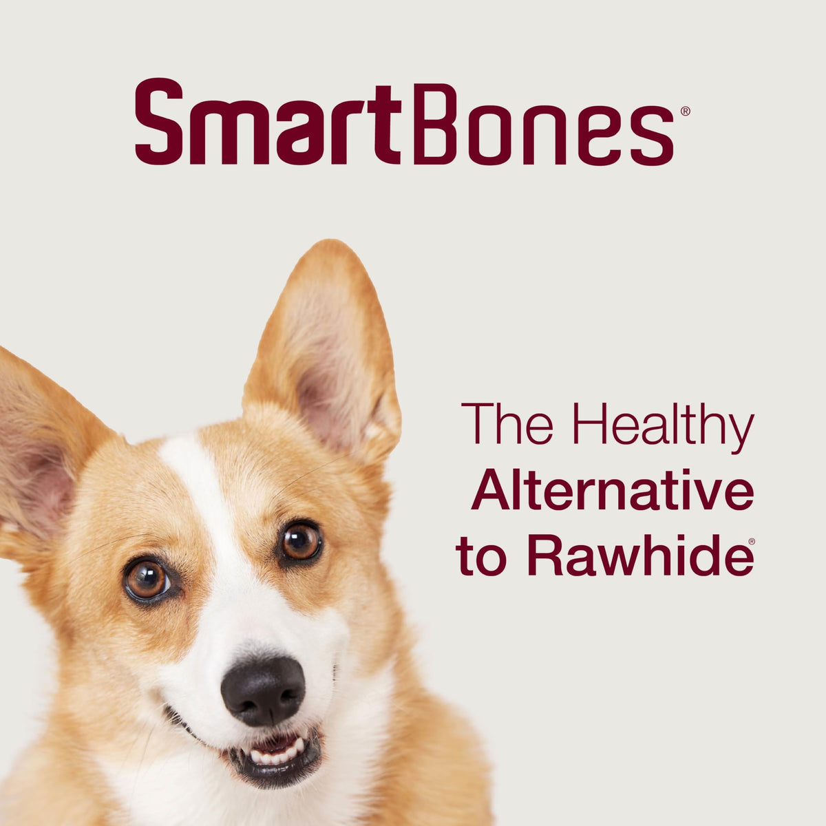 SmartBones Mini Bones Rawhide-Free Dog Treat, Real Peanut Butter, 24 Count