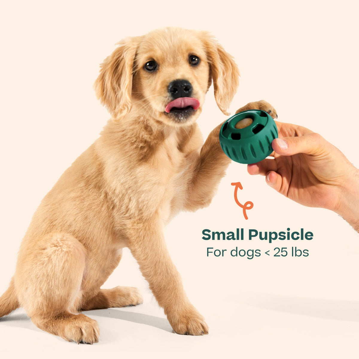 WOOF Pupsicle Interactive Dog Ball Toy for Dogs Large 25-75 lbs - Pink