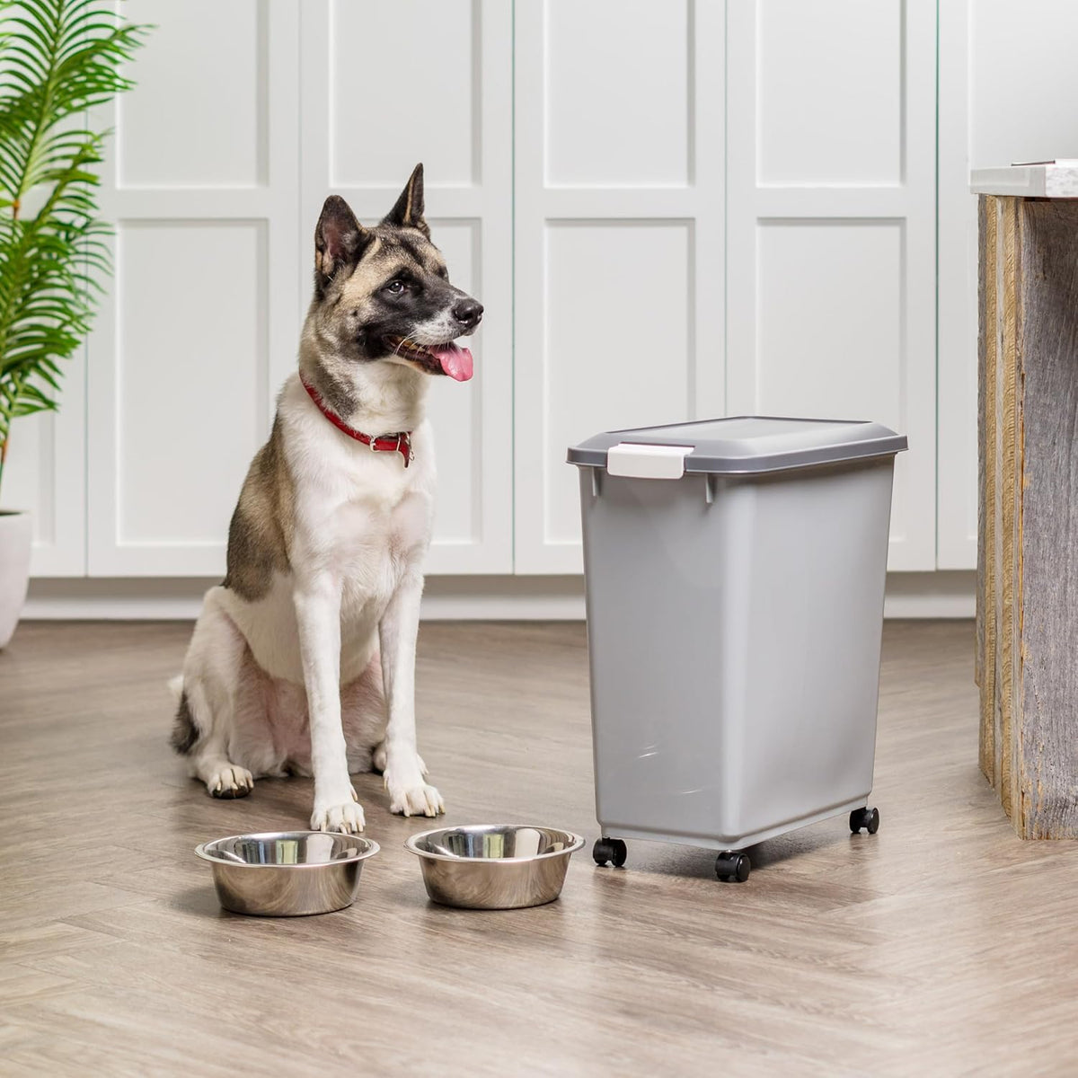 IRIS USA Dog Food Storage Container, Airtight, 30 lb Capacity, Wheels