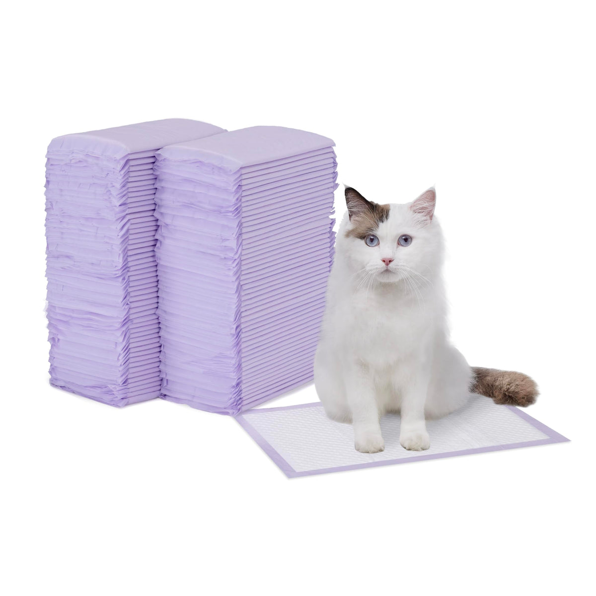 Amazon Basics Cat Litter Pee Pads, Odor Control with Fresh Scent, Super Absorbent, Disposable, Universal Fit Litter Box, Purple and White, 40 Count