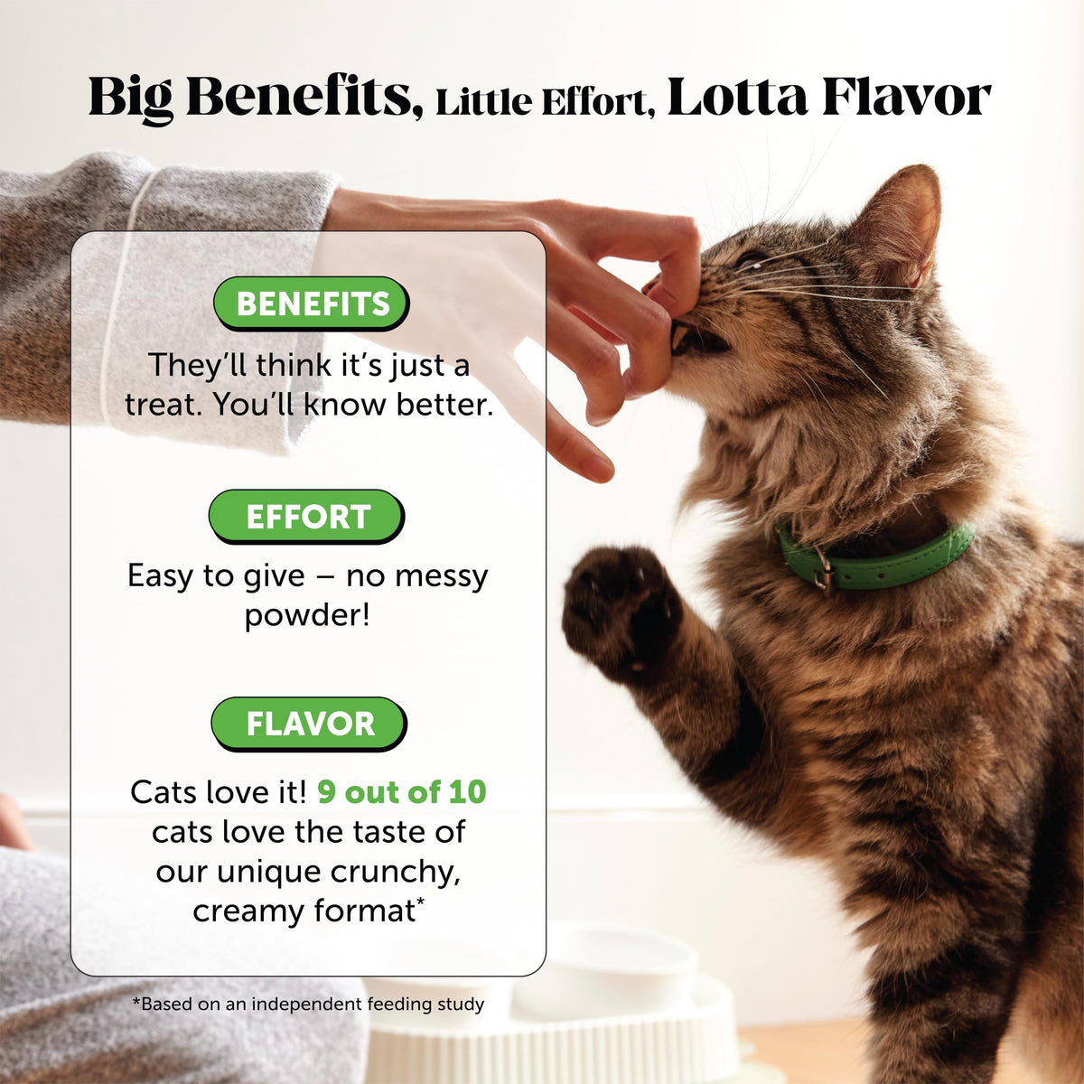 Pet Honesty Vet Backed Hairball Remedy Lickable Puree, Salmon, 20 Ct