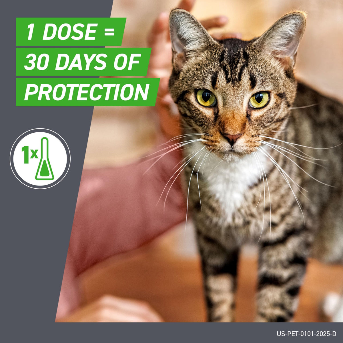 FRONTLINE Plus Flea & Tick Spot Treatment for Cat & Kitten (Green) Count of 6