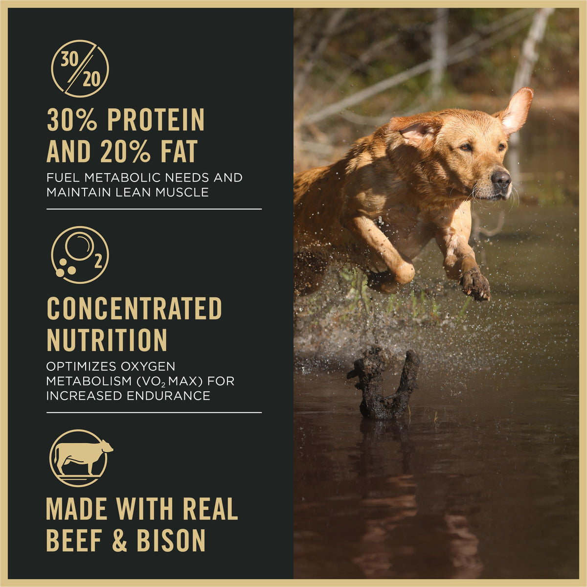 Purina Pro Plan Sport 30/20 High Protein Dry Dog Food, Beef & Bison, 33 lb