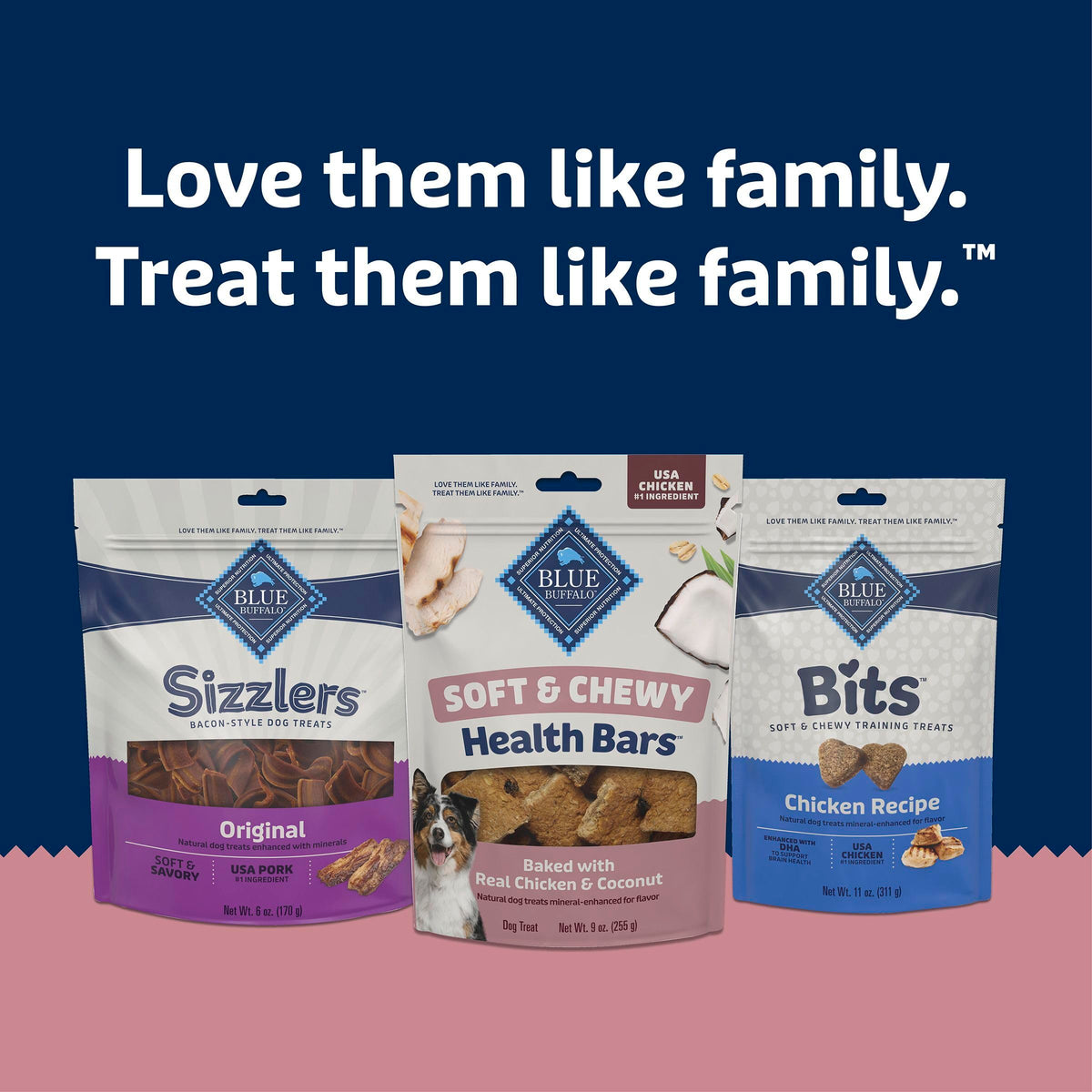 Blue Buffalo Health Bars Chicken & Mixed Berries Soft & Chewy Treats, 9 oz