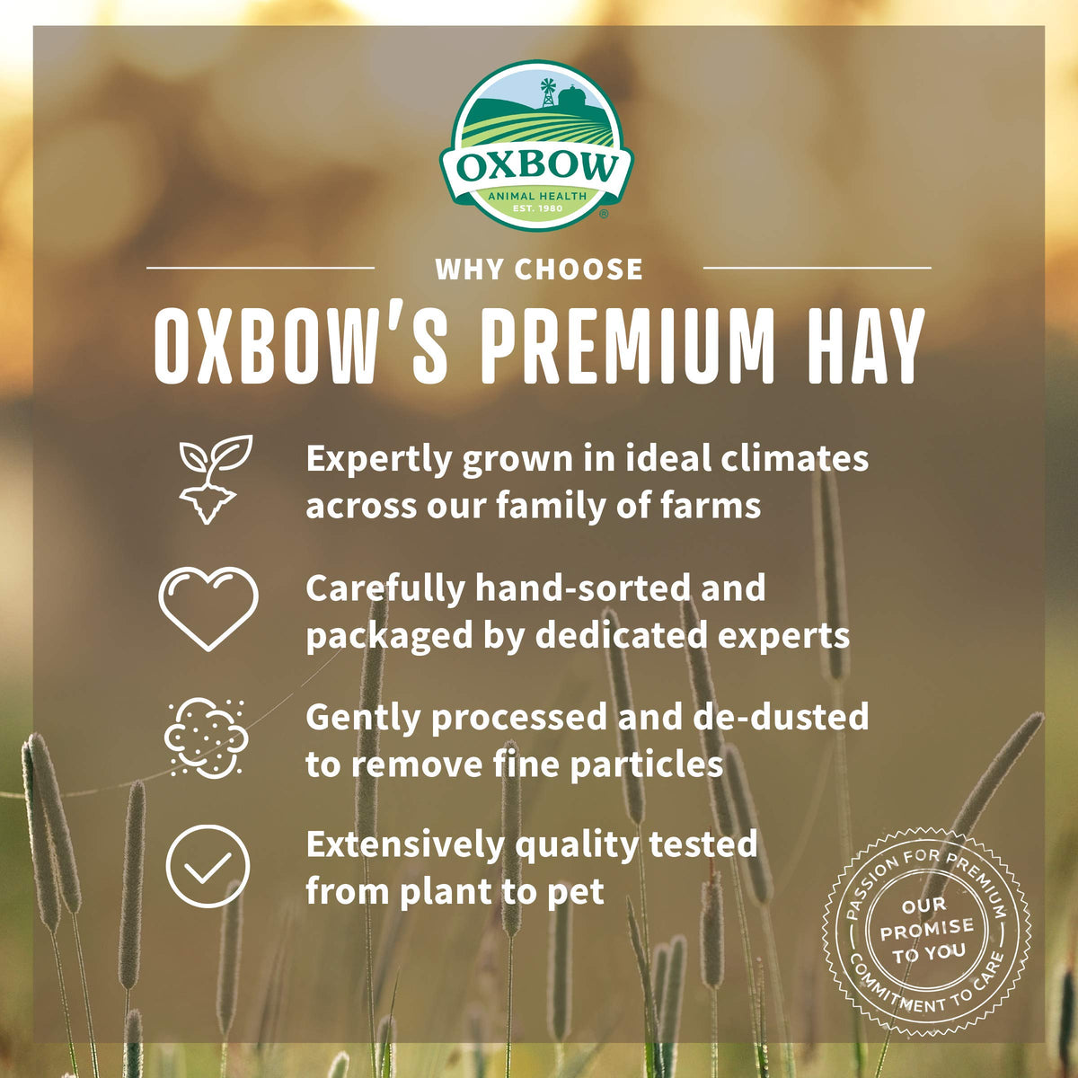 Oxbow Western Timothy Hay, Rabbit & Guinea Pig Hay, High Fiber, USA, 90 oz