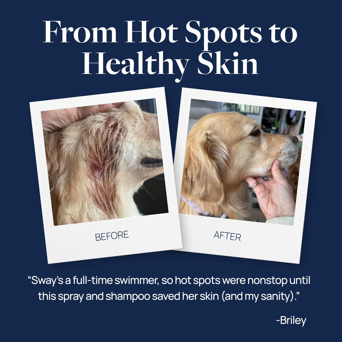 Veterinary Formula Clinical Care Hot Spot & Itch Relief Spray, 8 fl oz