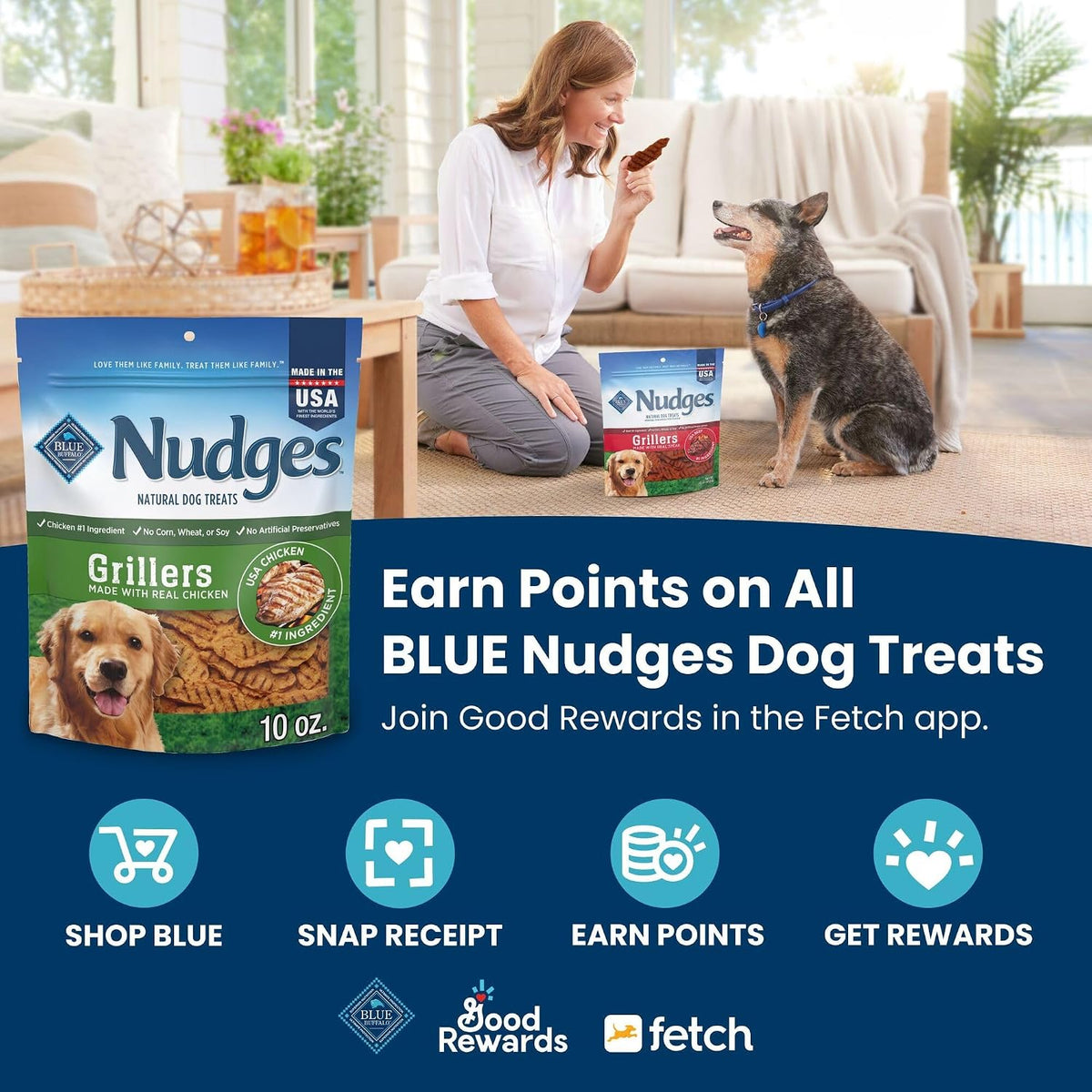 Blue Buffalo Nudges Jerky Cuts Steak Dog Treats, 10 oz