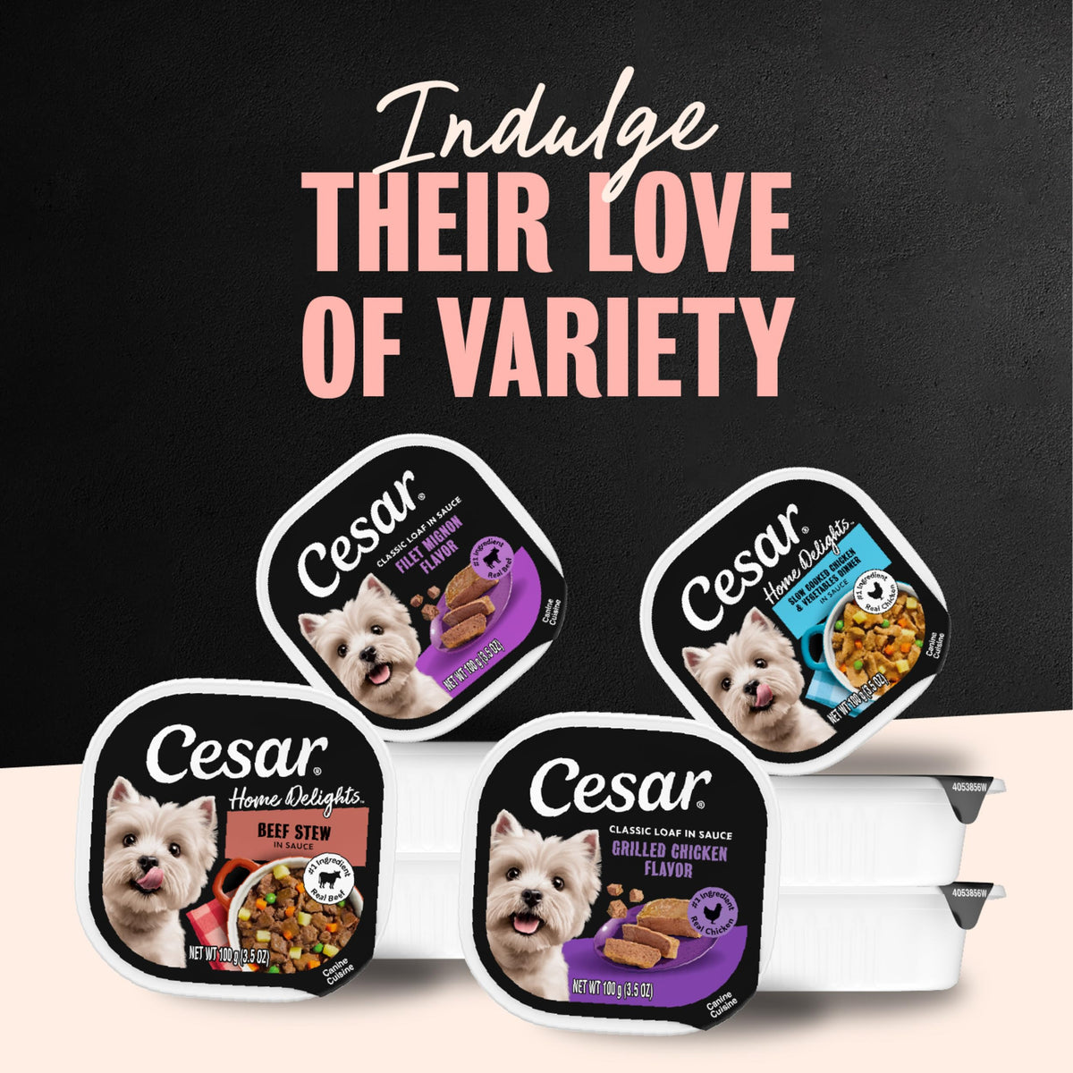 Cesar Wet Dog Food, Steak & Chicken Lovers Variety Pack, 3.5 oz, 36 count
