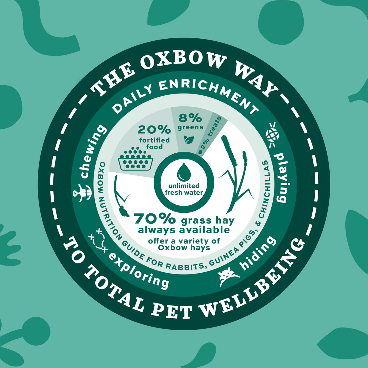 Oxbow Western Timothy Hay, Rabbit & Guinea Pig Hay, High Fiber, USA, 90 oz