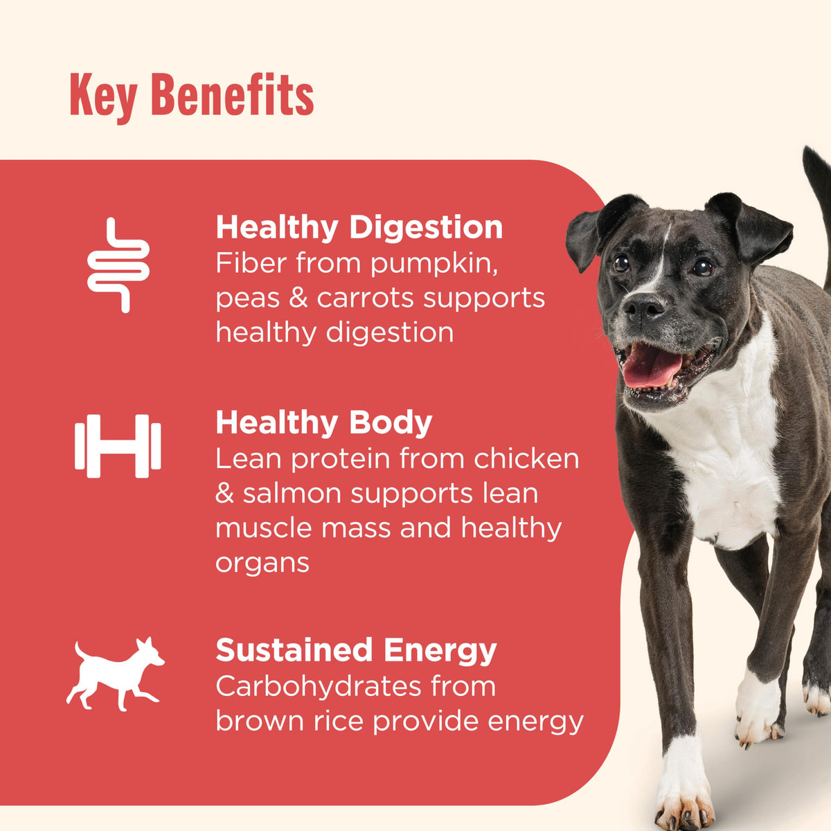 Nutrish Beef Paté Wet Dog Food, 13 oz. Can, 12 Pack (Rachael Ray)