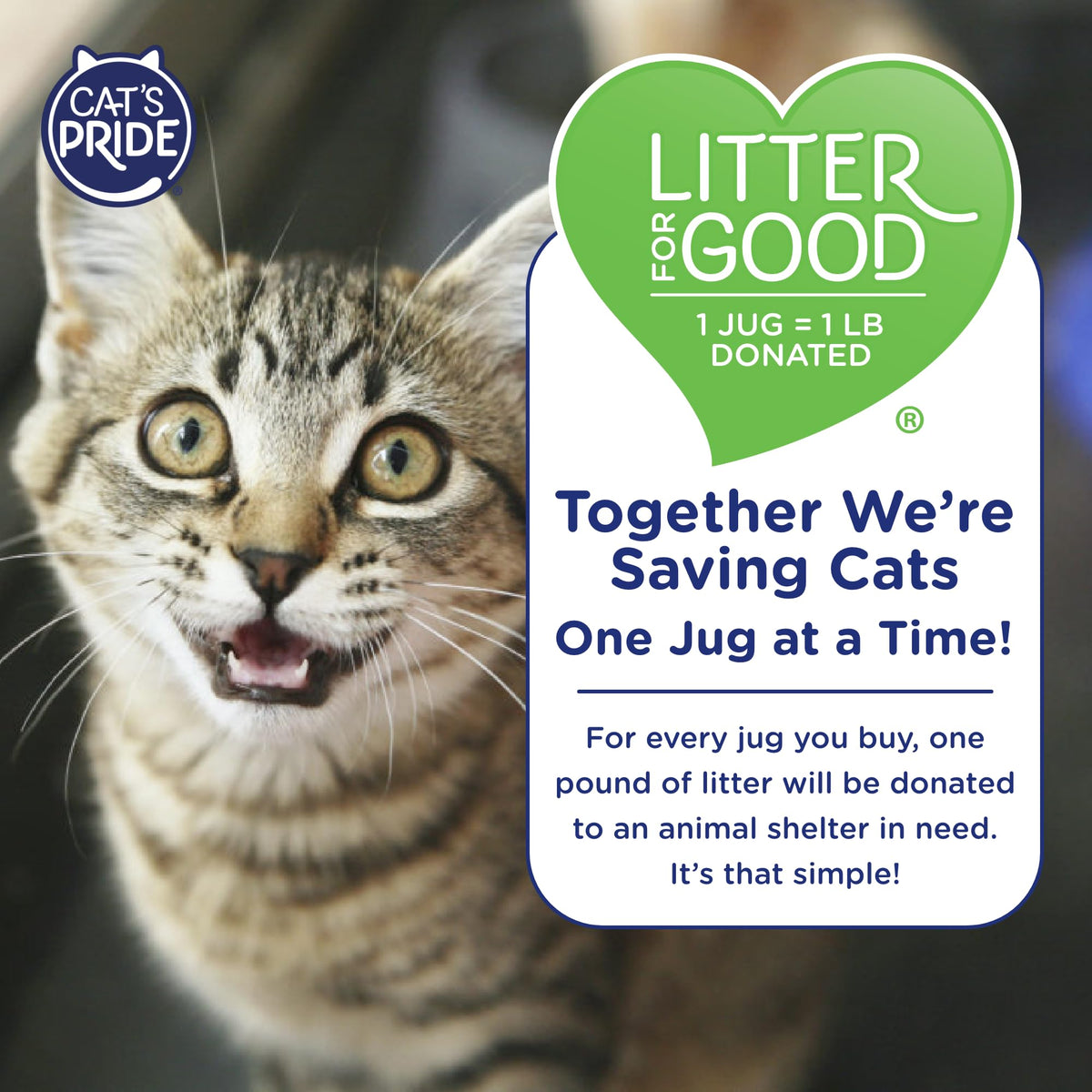 Cat's Pride Total Odor Control, Max Power, Clumping Litter Unscented 15lb