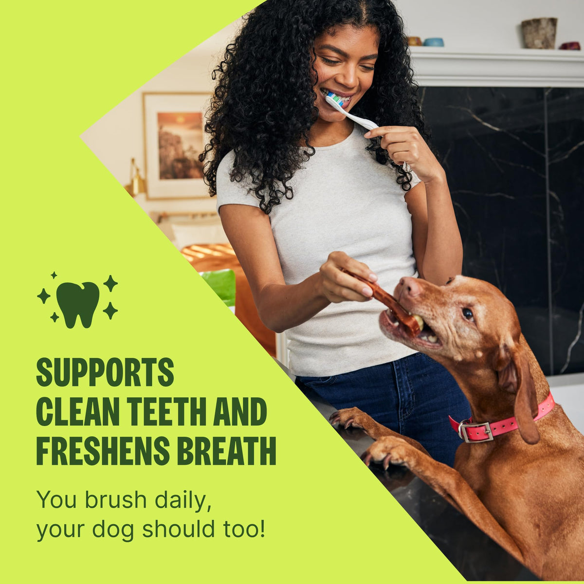 Whimzees Wellness Brushzees Natural Dog Dental Treat, VOHC Accepted Chews, Freshens Breath, Extra-Small Size, 12.7 oz Bag, 48 Count