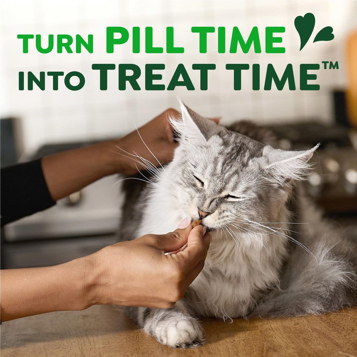 Greenies Feline Pill Pockets Soft Cat Treats, Chicken Flavor, 85 count
