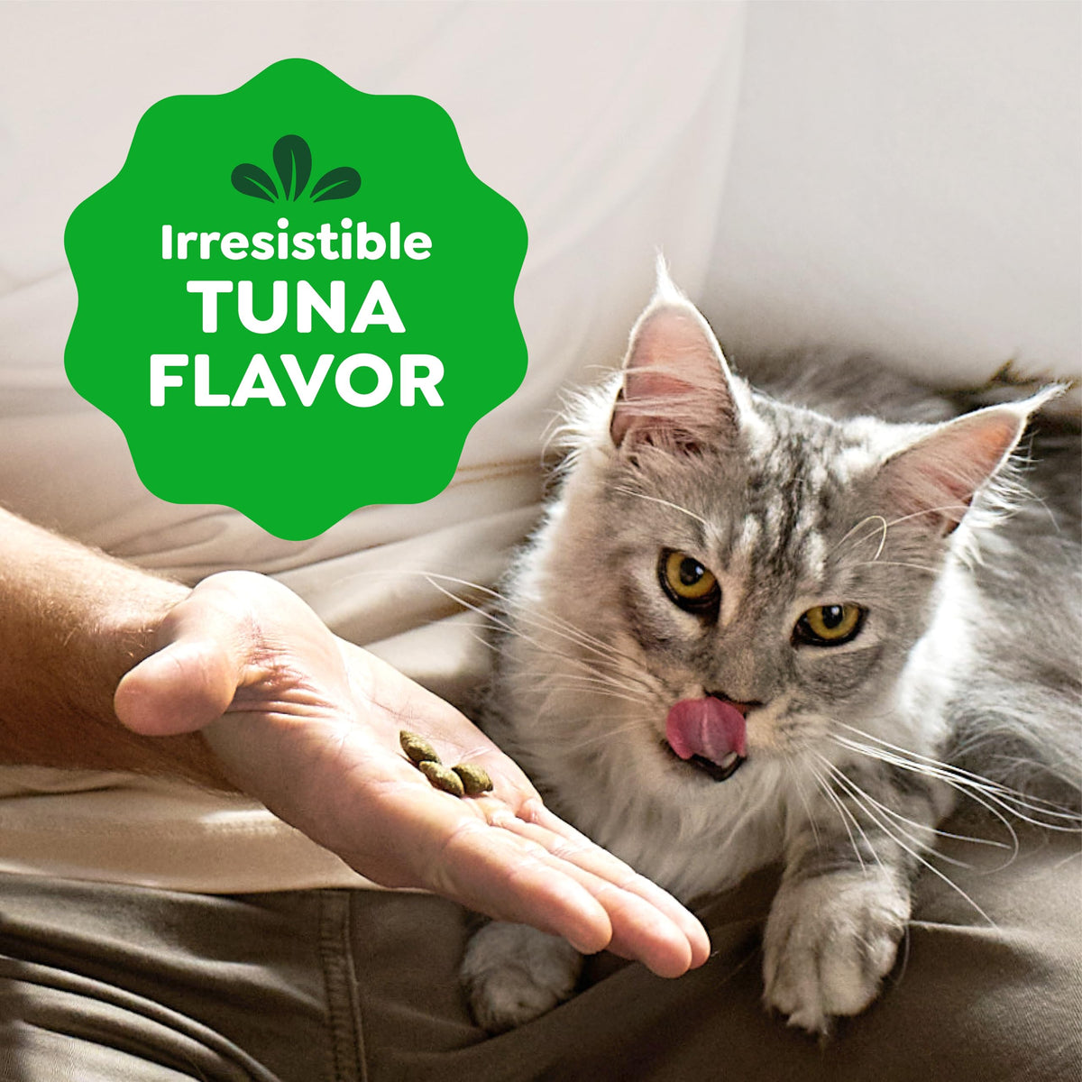 Greenies Feline Smartbites Healthy Indoor Cat Treats, Chicken, 4.6 oz