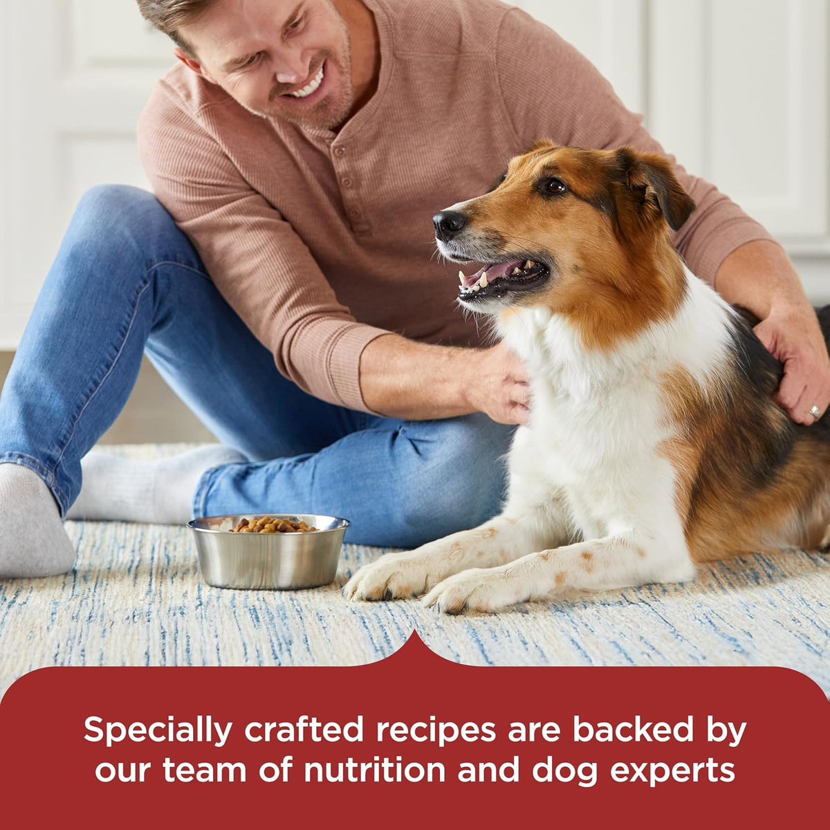 Nutrish Beef Paté Wet Dog Food, 13 oz. Can, 12 Pack (Rachael Ray)
