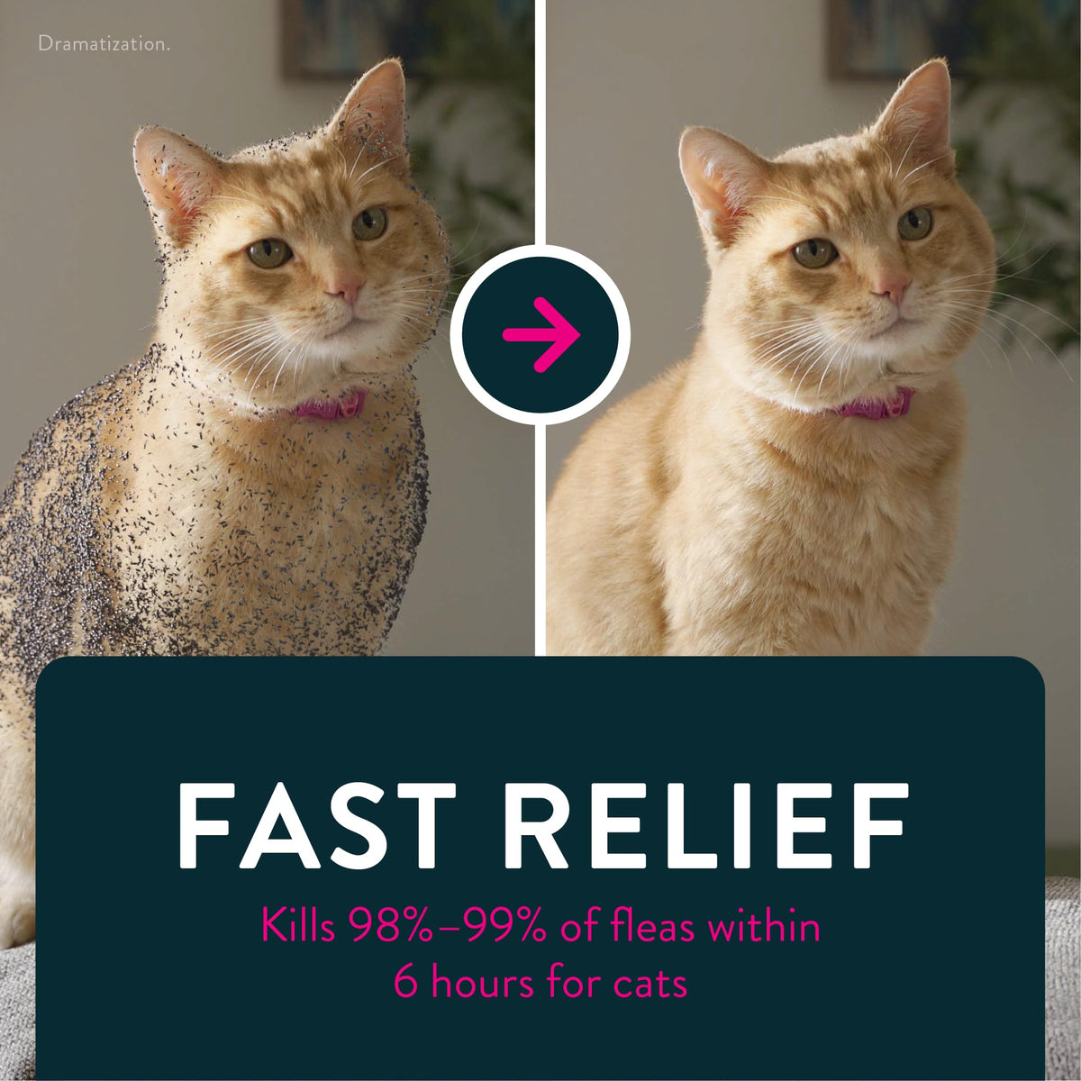 Capstar Oral Flea Tablets Cats 2-25 lbs, Nitenpyram, 6-Dose