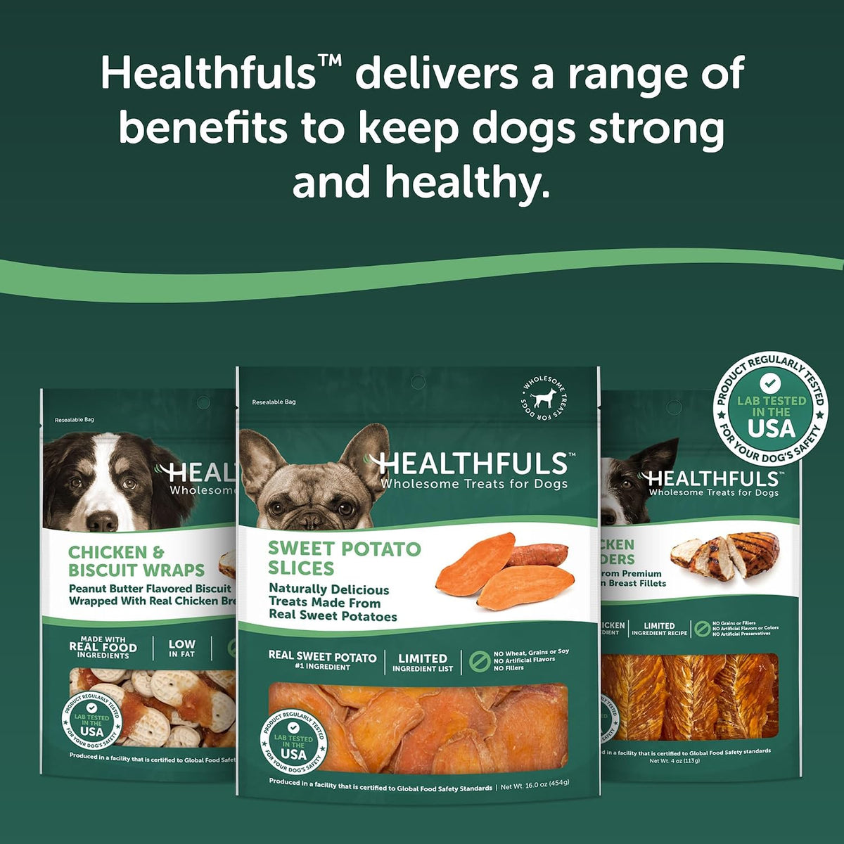 HEALTHFULS Real Dried Sweet Potato Slices, Grain Free Dog Treats, 16 oz